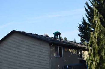 Solar Panel Installation Near Me Portland OR